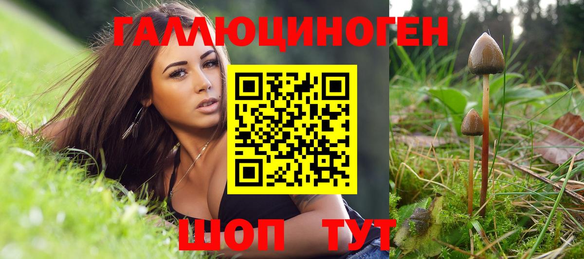 Псилоцибиновые грибы Magic Shrooms Северск
