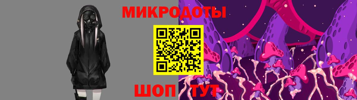 Северск  дарнет шоп  Вход с VPN  Псилоцибиновые грибы прущие грибы  Псилоцибиновые грибы Psilocybe 
